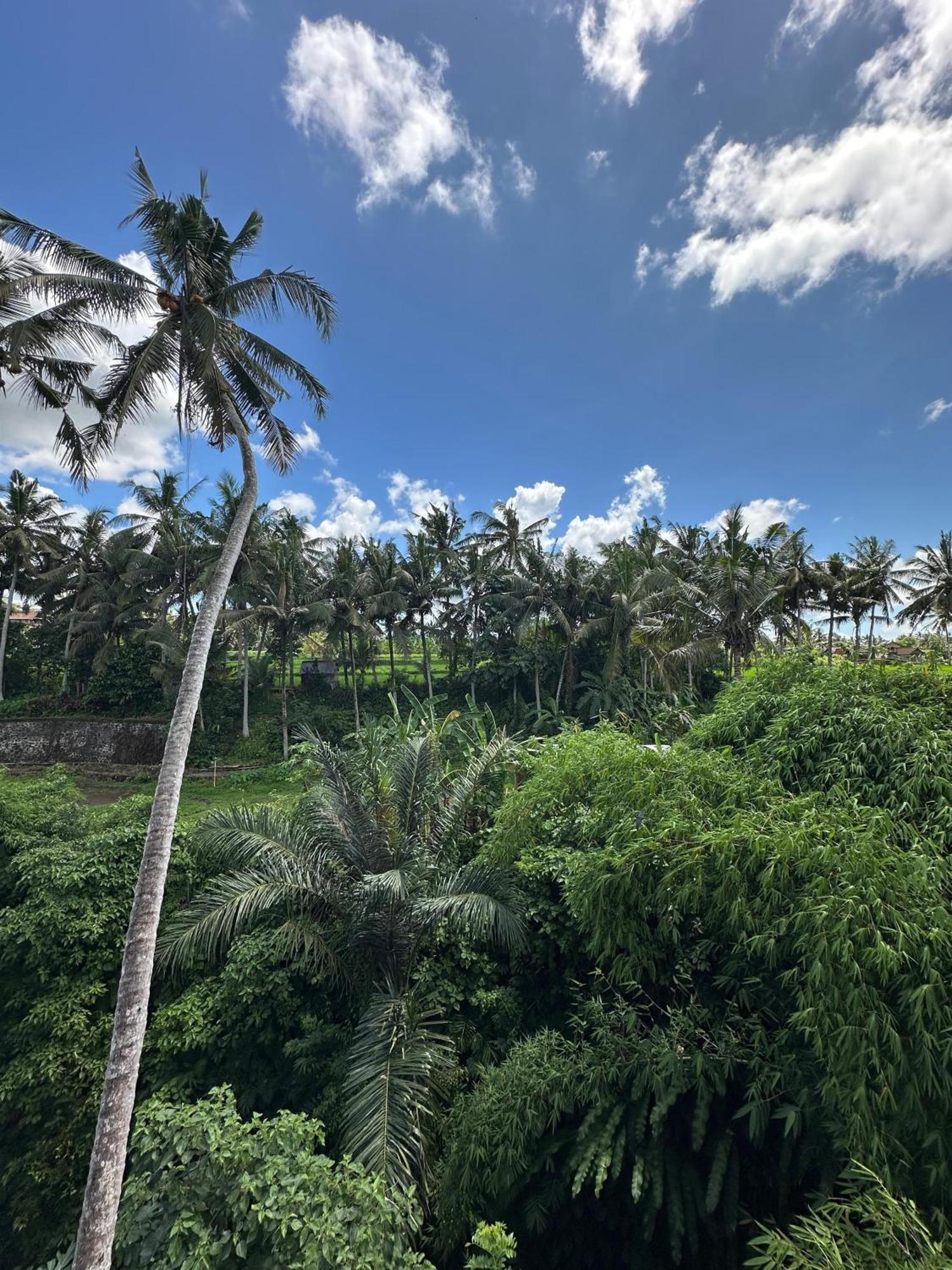 Hotel Tagel Karsa House Ubud Zewnętrze zdjęcie